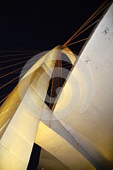 The Arco da InovaÃ§Ã£o taiada bridge and its lighting photo