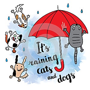It's raining cats and dogs autumn card.
