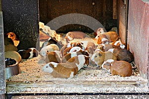 ItÃ¢â¬â¢s a  raise at home.