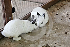 ItÃ¢â¬â¢s a  raise at home.