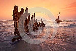 S.S Dicky Shipwreck photo