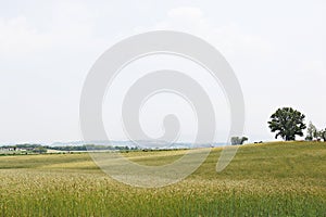 ItÃ¢â¬â¢s the scenery of a korean park