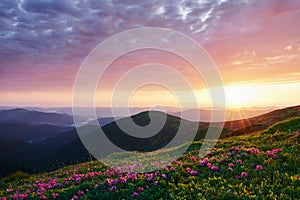 It`s almost sunset. Majestic Carpathian mountains. Beautiful landscape. Breathtaking view