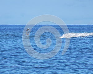 S Thomas United States Virgin Islands, Royalty free Ocean sports background, Surfboarding