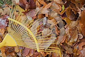 It`s time to clean up the flown leaves