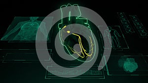 SA and AV Node signal in the Heart with Human Body