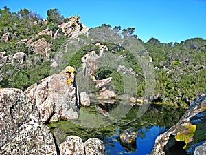 Sa Bassa Verda, Ciutadella