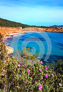 Sa Caleta Ibiza red ochre coastline