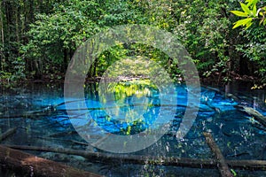 Sa Nam Phut is beautiful spring pool in the forest national park