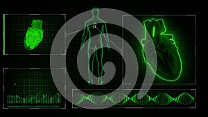 SA Node Signal or Sinoatrial Node Signal of Human Heart