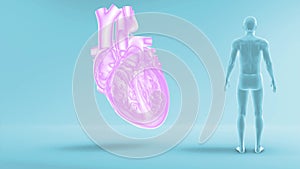 SA Node Signal or Sinoatrial Node Signal of Human Heart