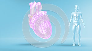 SA Node Signal or Sinoatrial Node Signal of Human Heart