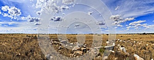 SA Nullarbor Plain Day panorama