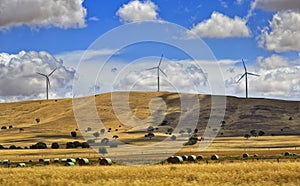SA Windfarm round hays