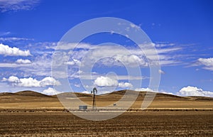 SA Yellow plain windmill