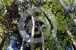 Saadabad park in Tehran city, Iran