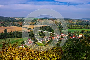 Saale Unstrut vineyards