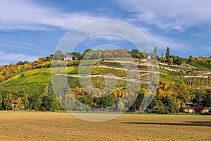 Saale Unstrut vineyards