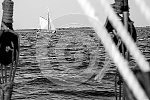 On the Saaler Bodden