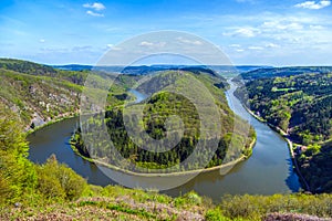 Saar loop at Cloef with trees