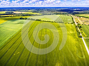 Saarema Island, Estonia: aerial view of summer fields in Leisi Parish photo