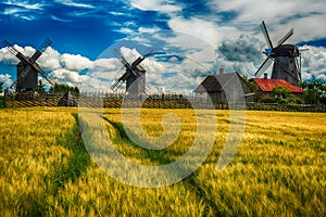 Saarema Island, Estonia: fields and Angla windmills in Leisi Parish photo