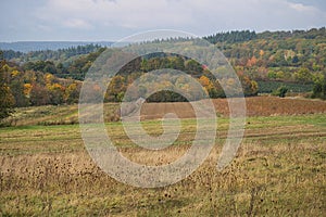 In Saarland forests, meadows and solitary trees in autumn look