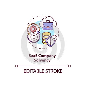 SaaS company solvency concept icon photo