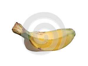 Saba banana on over white