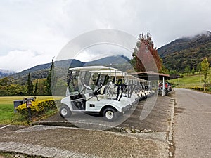 Outdoor scenery during day time with a row of golf carts.