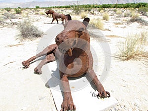 Saber Tooth Cat at Galleta Meadows in Borrego Springs California photo