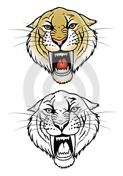 Saber tooth tiger
