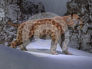 Saber-toothed Cat Mountain photo