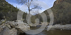 Sabino Canyon Creek (partial panoramic) photo