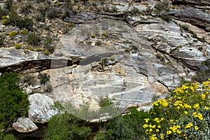 Sabino Canyon photo