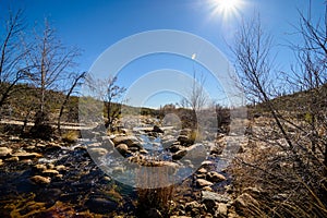 Sabino Creek rocky shoreline with trees