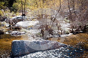 Sabino creek running through the rocks and trees