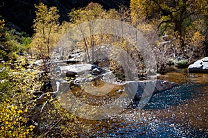 Sabino creek running through the rocks and trees