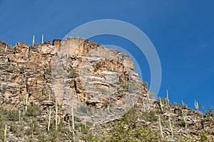 Sabino Landscape