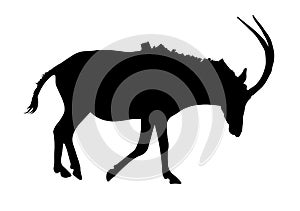 Sable Antelope Silhouette
