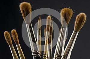 Sable Paint Brushes photo