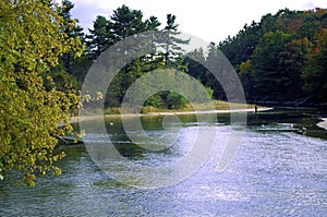 Sable River at Ludington State Park  52749