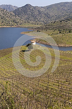 Sabor River in Douro Valley