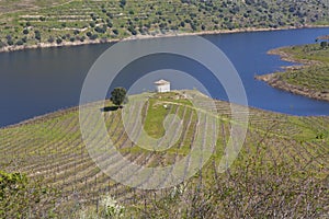Sabor River in Douro Valley