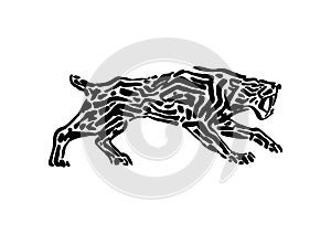 Sabre-toothed tiger animal decorative vector illustration painted by ink, hand drawn grunge cave painting, black isolated