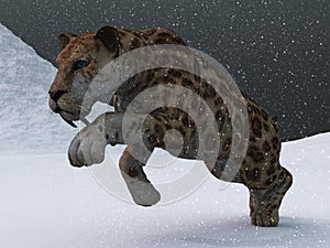 Sabre-toothed tiger in ice age blizzard photo