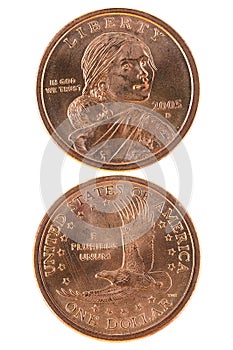 Sacagawea dollar photo