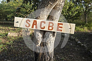 Sacbe sign meaning white road in Mayan