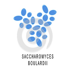 Saccharomyces boulardii colony. Probiotic, beneficial bacterias for human health and beauty. Good gut flora under
