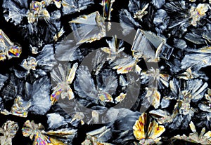 Saccharose crystals in polarized light photo